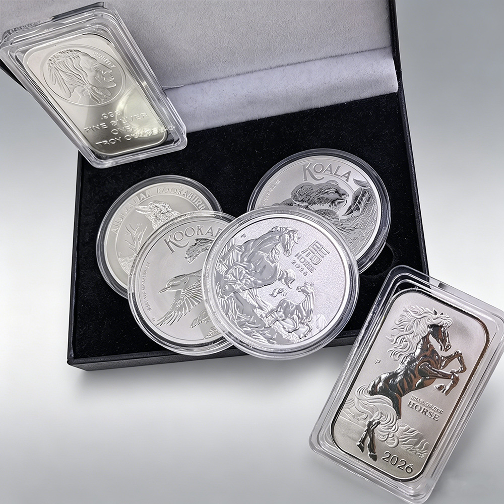 Vintage Collectible Coins - 1/5pcs 빈티지 실버 코인 동물 테마